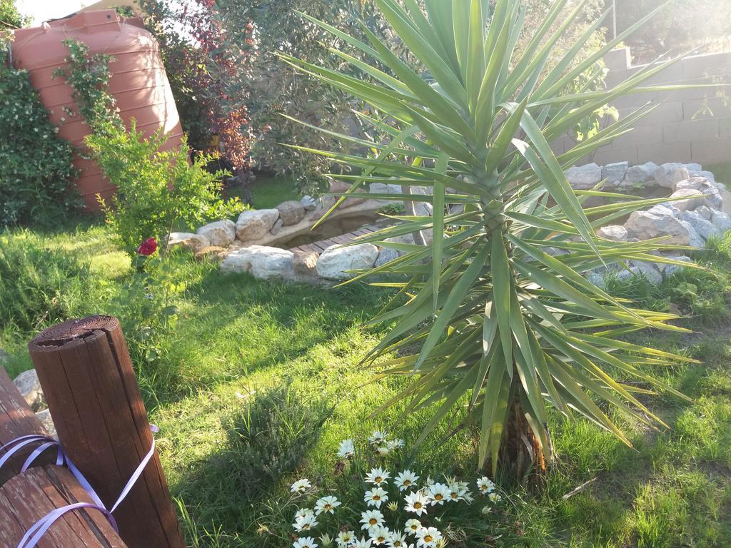 S'Arriali Ranch ξενώνας Iglesias Εξωτερικό φωτογραφία