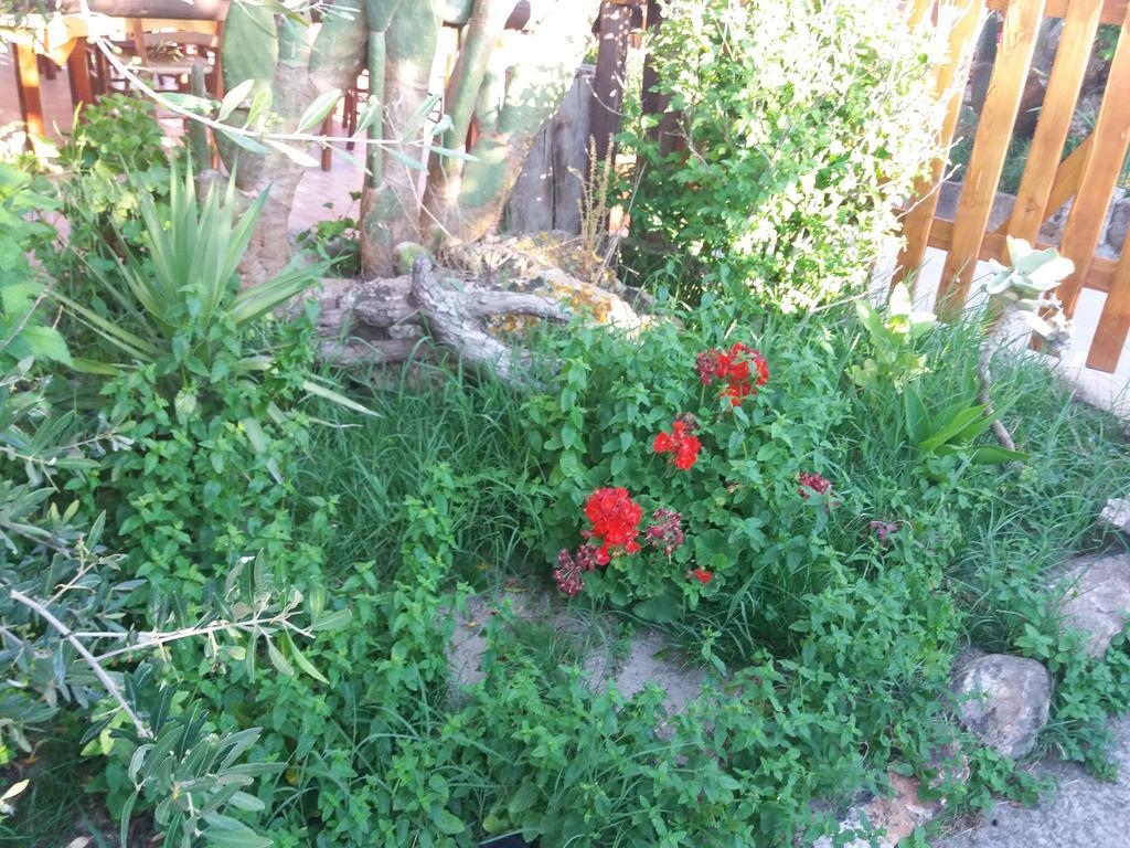 S'Arriali Ranch ξενώνας Iglesias Εξωτερικό φωτογραφία